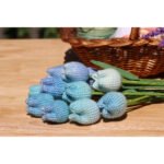 Tulip 12pcs crochet kit - Image 6