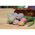 Tulip 12pcs crochet kit - Image 5