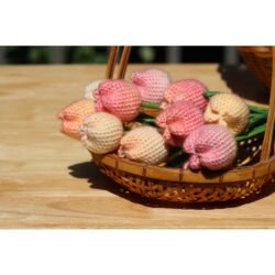 Tulip 12pcs crochet kit